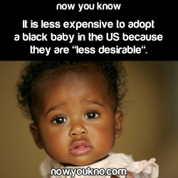 trebled-negrita-princess:  deessenoire:  nowyoukno:  Source for more facts follow NowYouKno  &amp; yet that doesn’t stop white ppl from adopting and exploiting them like they’re shiny new cars  Or mistreating them smmfh