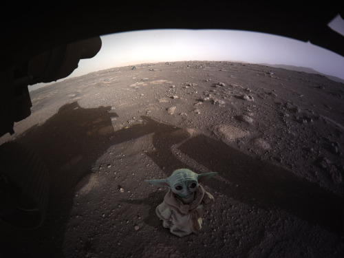 what are you doing on Mars Grogu! Get back to training!