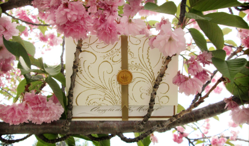 Summer flowers are here! Our Anista Designs invitations look at home among the blossoms.