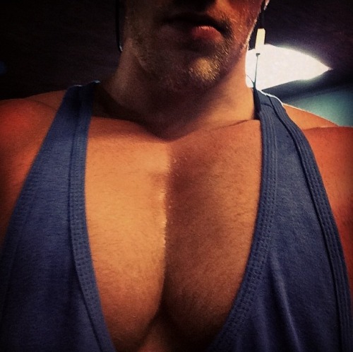 builddudebuild:  My big motivator, Mischa Janiec  Fucking swole chest appreciation post!