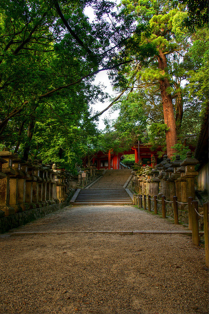 Kasuga Taisha Shrine (春日大社) by christinayan01 on Flickr.