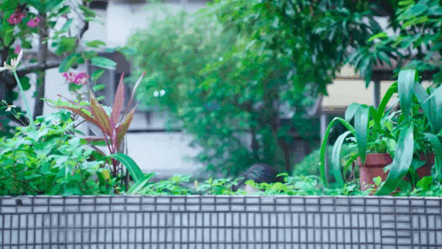 Asian Dramas And Relationship Dynamics (Pt.1) 