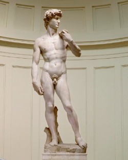 zaynemoji:the Statue of David imitating Zayn Malik