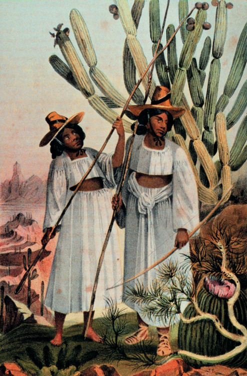 Two Tohono O’odham women ,a Native American tribal group residing in the Sonoran Desert of eas