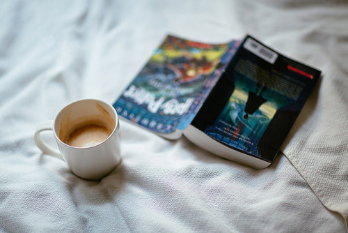 ollivanderous:  265/365 The Goblet of Fire by M. Klasan on Flickr.