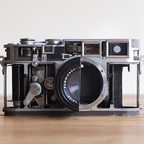 passionleicaleica m3 cutout