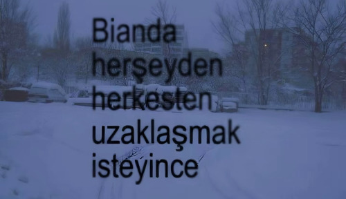 napmisimki