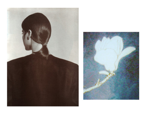 yidan:  i.Calvin Klein, American Vogue, March 1986.ii.  an unfinished flower