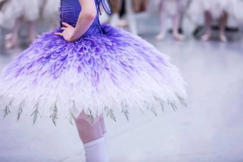 ballerinaoftheopera:The fantastic Sleeping Beauty’s tutus of Australian Ballet. I want one