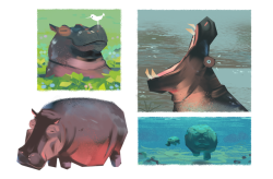 everydaylouie:hippo hippo hooray