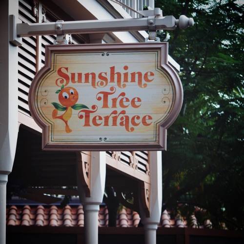 Perfect place to cool down on a hot day at the happiest place on earth. #ooohmydisney #sunshinetreet