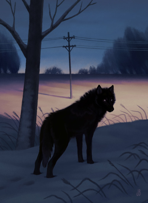 dappermouth:Black wolf, I think I knew you once.