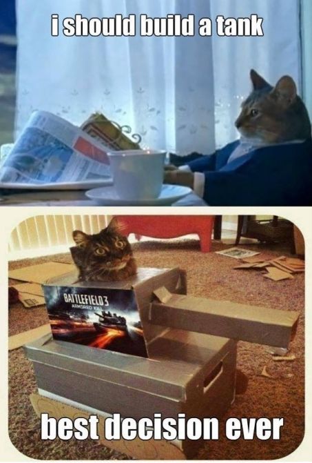 I don&rsquo;t usually post this kind of cat shit&hellip; but come on!  XD