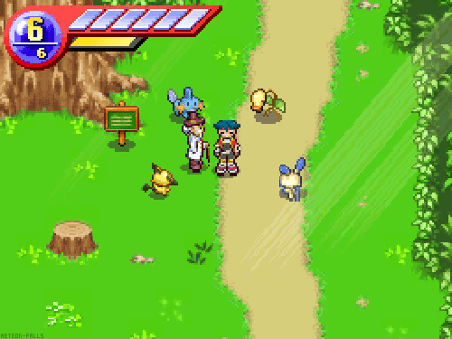 meteor-falls:Lyra Forest, Fiore RegionPokemon Ranger for Nintendo DS
