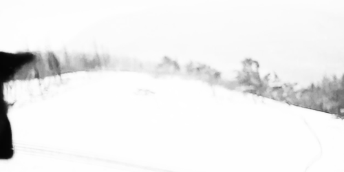 Infinite Winter Dates: Myungsoo