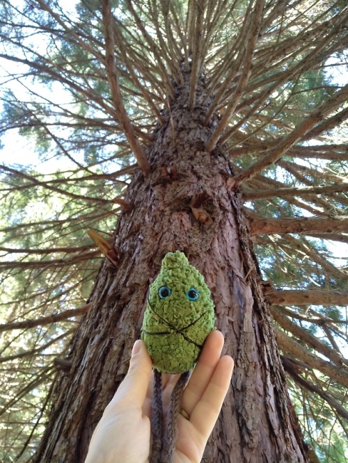 artpockets - Kid’s craft - crazy Sequoia pocket tree...