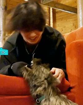 Two Puppies~