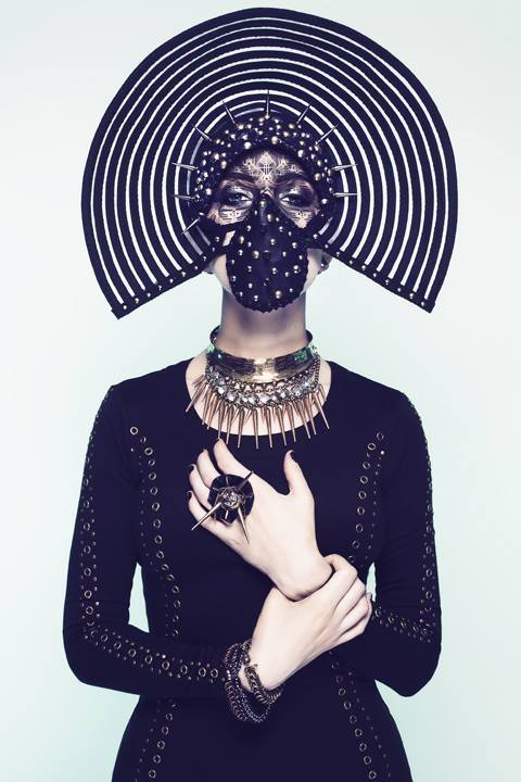 Black Flamingo☽❍☾