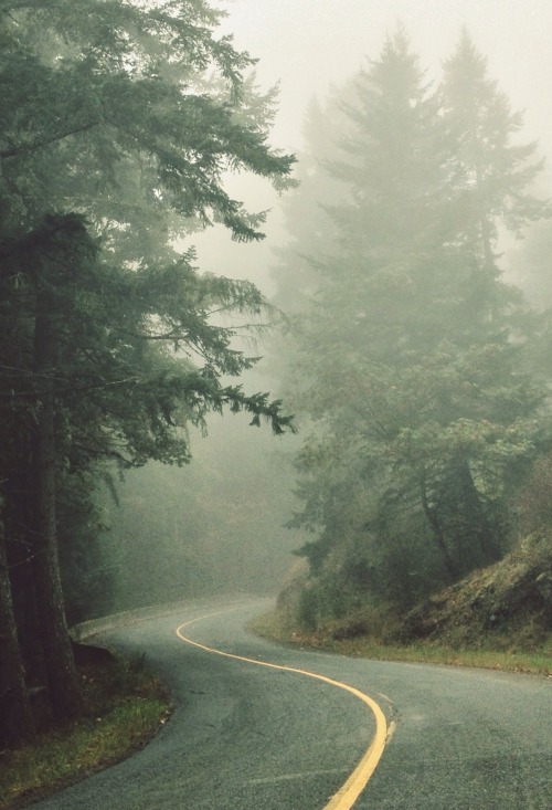 http://liveethat.tumblr.com/post/68013883306