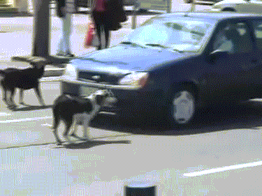 failnation:  You want me to move? This is how I move.http://failnation.tumblr.com
