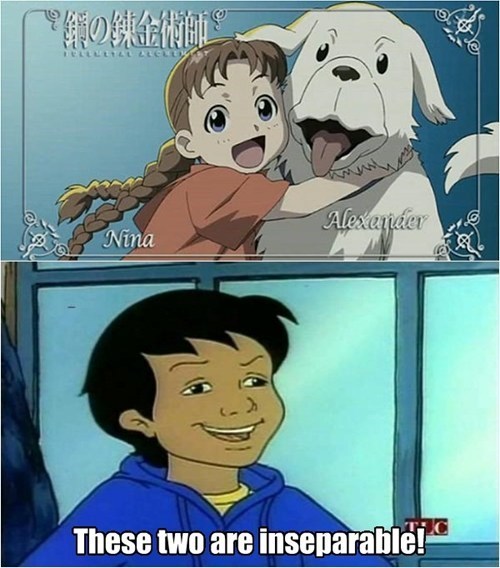 bodibaloo: