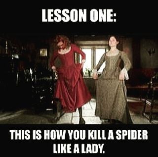 Or do what I do. Get on top of a chair and scream until someone else kills it. #spiders #poldark #happysunday
https://www.instagram.com/p/B8otlyUgGW2/?igshid=14zh9n6cztnj9