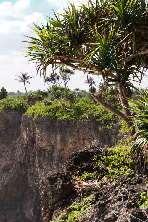 Cliffs of Tonga, Kingdom of Tonga || rtwparenting