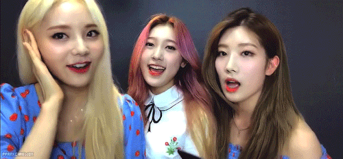 pparkchaewon: