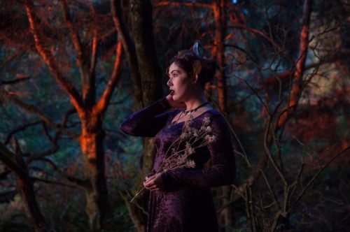 “Come, little children I&rsquo;ll take thee away Into a land Of enchantment Come, little c
