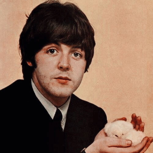 the land of bow and helm — paul mccartney icons like/reblog if save ©...