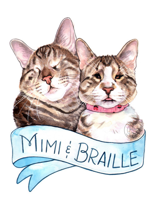 Two of my favorite internet cats &lt;3Both kitties lived their lives blind &amp; without eye