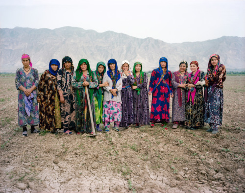 Uzbek women work in cotton fields in southern Tajikistan, 2010.Photo by Carolyn Drake