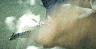 715c58c8fb941256ed107d1983d53eba073cae70.gifv