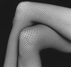 fotograffers: Jambes/Mélodie by Robert Mapplethorpe