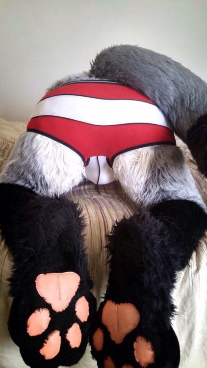 Remember @FursuitButts over on Twitter?Well, they MADE A TUMBLR BLOG!!!***CLICK HERE AND FOLLOW THEI