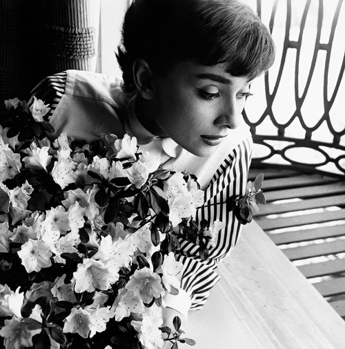 deforest:  deforest: How fortunate that our memories of her are good. They leave