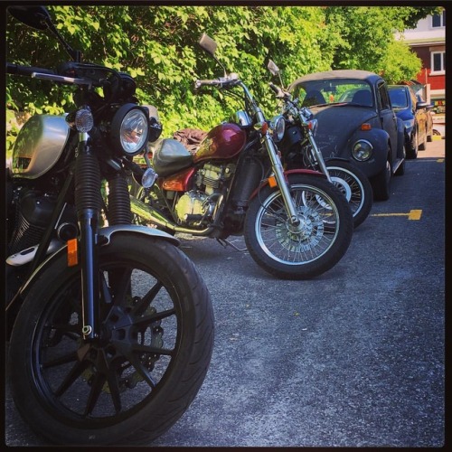 Afternoon parking lot action at TARG - #wizard steeds and chariots jammin’ up the backyard in 