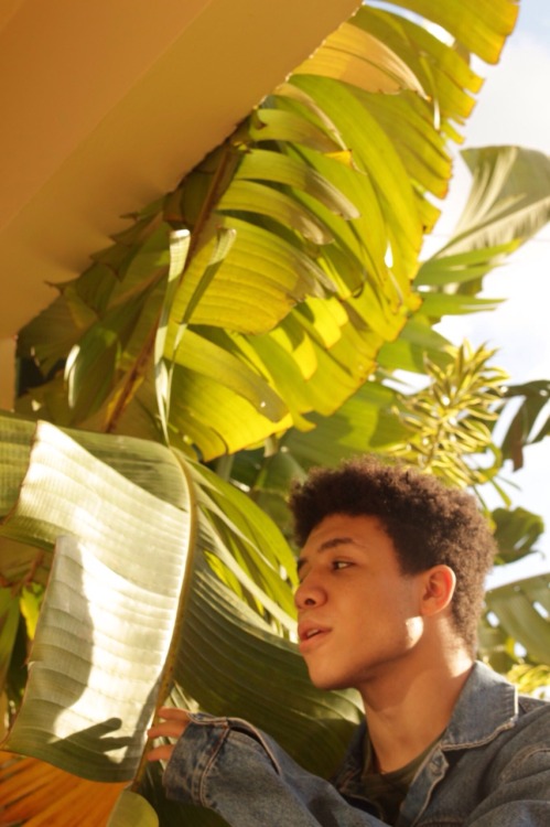 nembhard:  young, proud afro boy. 