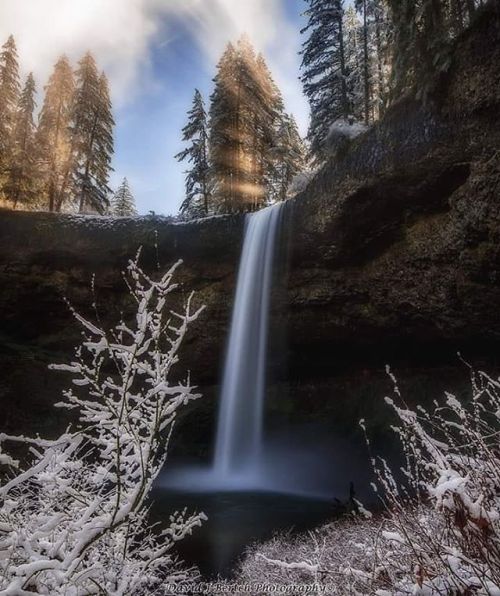 oregonexplored: Photo from @david_bertch_photography - Silver Falls State Park - Image selected by @