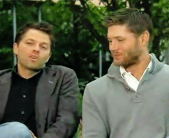 piperwinchester176:  It’s kind of an obvious Jensen has this unique laugh for whatever shit Misha does… And I think It’s really sweet.   