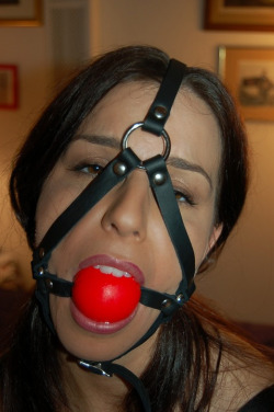 bdsmcentral:  Sex Slaves with Toyshttp://bondagesextoys.tumblr.com/  Hot Slaves from Behindhttp://slavebutts.tumblr.com/