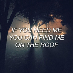 cavititty:  halsey // youth