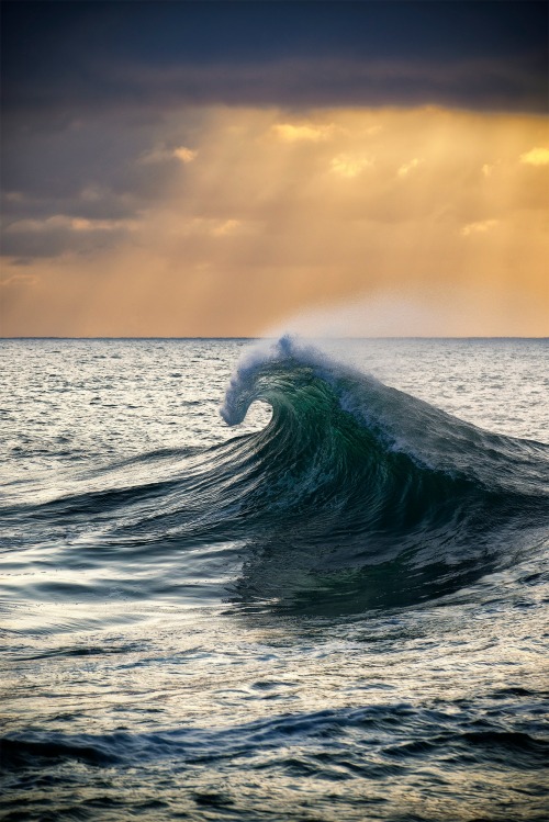 sundxwn:  Freedomby William Patino