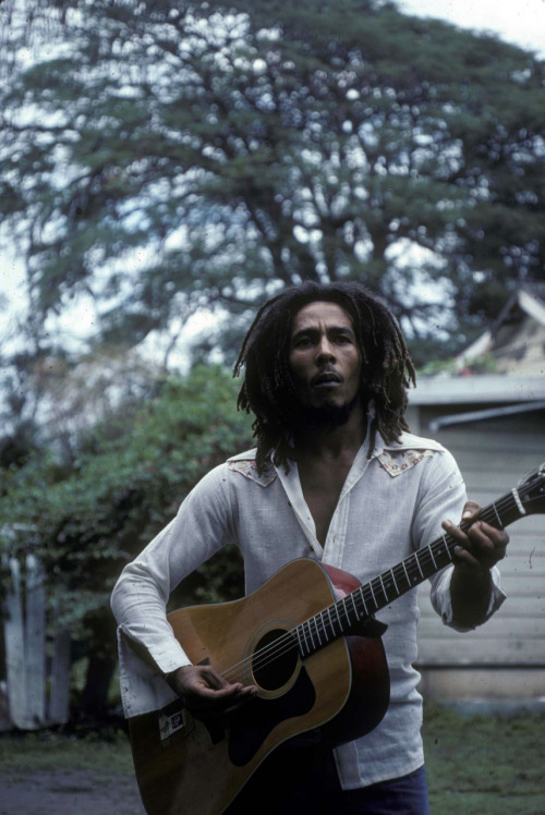 XXX meatgod:  ledzepppelin:  Bob Marley at his photo