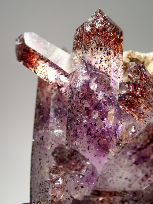bijoux-et-mineraux:  Amethyst with Lepidocrocite inclusions - Goboboseb Mtns., Brandberg Region, Nam