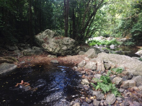cleanbodyfreshstart:today’s magical little creek spot with my special earthling // ✿