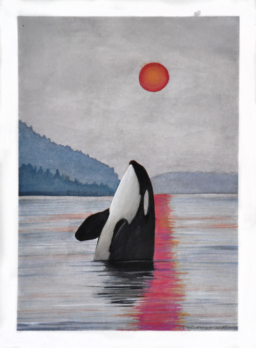 namu-the-orca: Burning Sun Though the scorching forest fires plague the land far away, they plague t