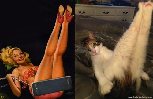 mymodernmet:  Cats That Look Like Pin Up Girls is a single-topic blog that pairs images of pin up girls from 1940s and 50s calendars with funny images of cats in the same exact poses.