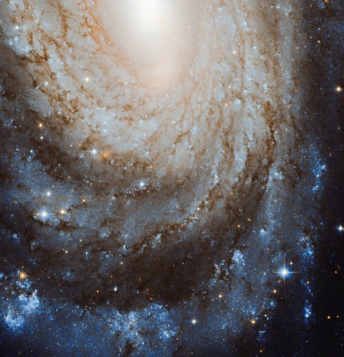 thedemon-hauntedworld:NGC 6384: Spiral Beyond the Stars The universe is filled with galaxies. But t