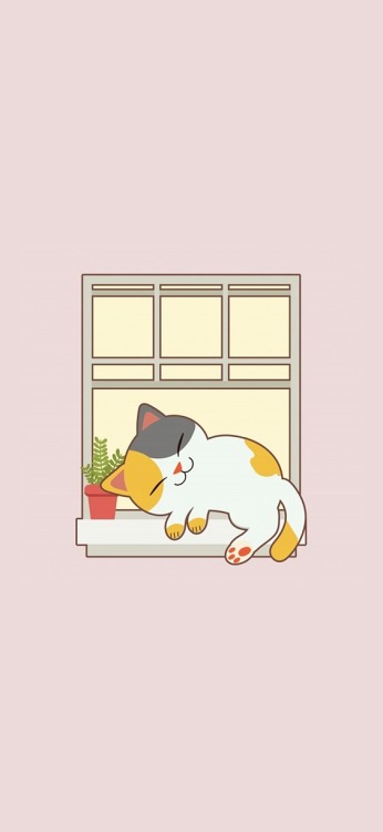 cats wallpapers